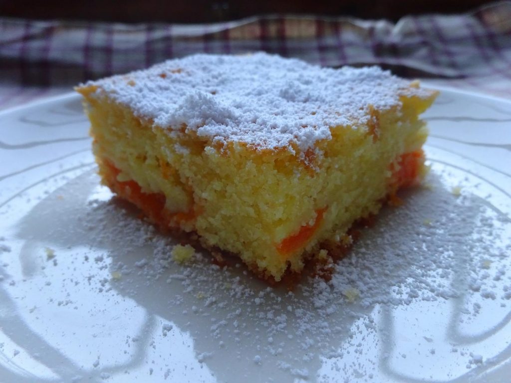 Torta di Albicocche senza glutine e lattosio