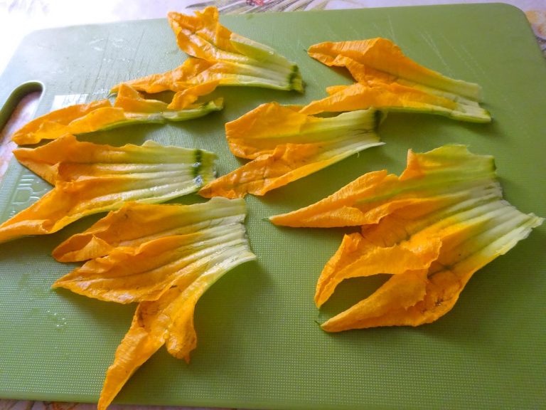 Fiori di Zucca senza gluine e lattosio