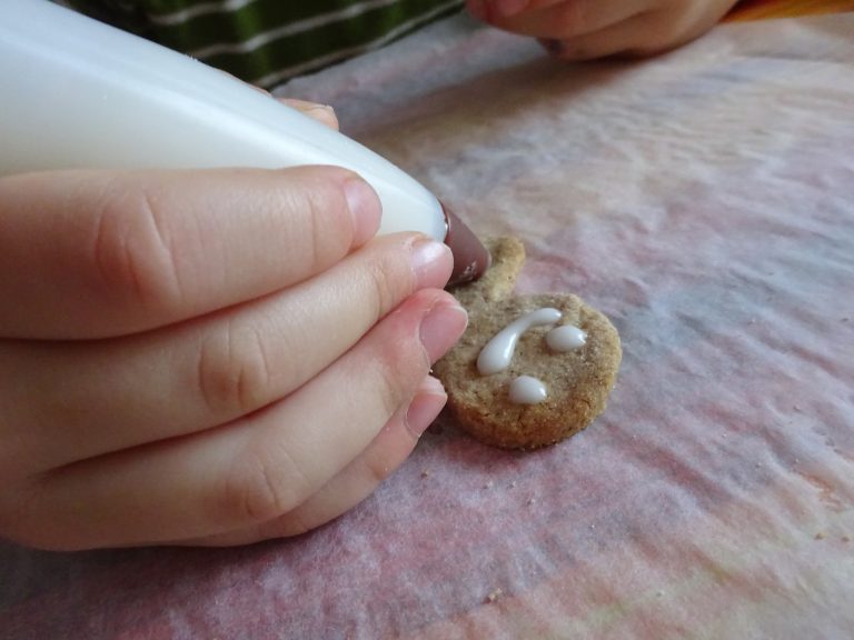 Biscotti di Panpepato senza glutine e lattosio