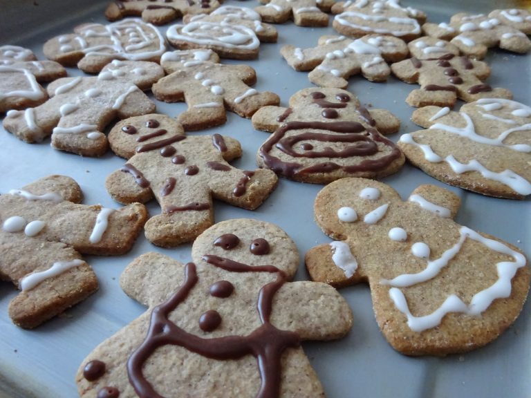 Biscotti di Panpepato senza glutine e lattosio